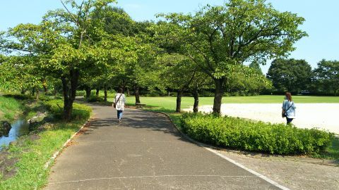 埼玉県春日部市「内牧公園」。アスレチック遊具がある方とは反対側の散策路を歩きました。