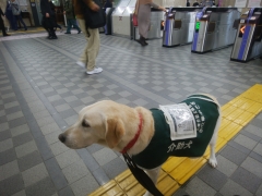 阪急宝塚駅の改札