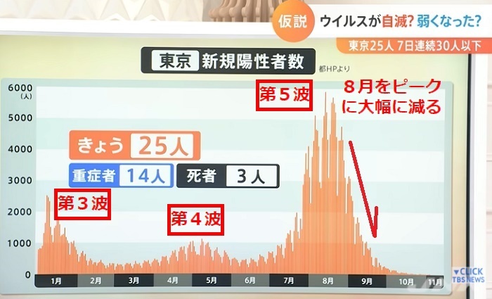 １新規観戦東京折れ線グラフ