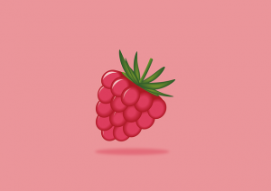 raspberry-6368999_640.png