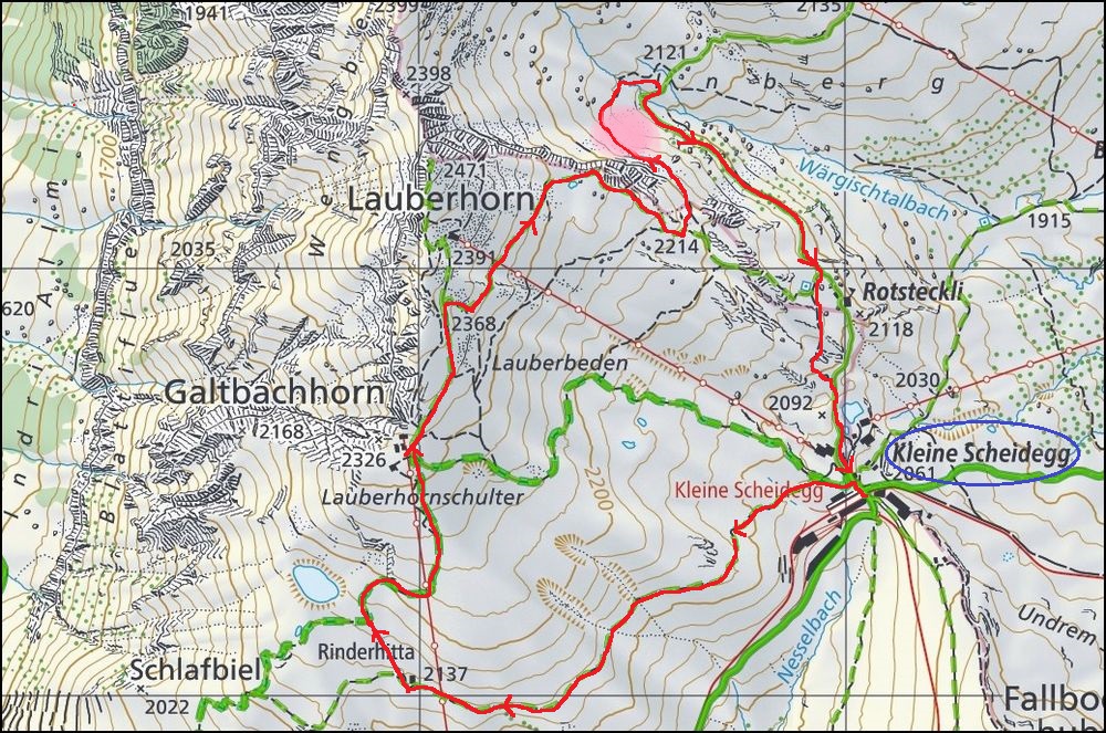 41）スイス、ラウバーホルンへトレッキング＠クライネシャイデックから足を延ばして