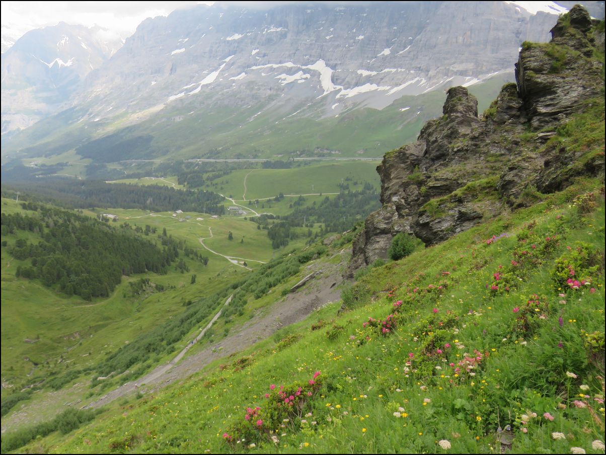 41）スイス、ラウバーホルンへトレッキング＠クライネシャイデックから足を延ばして