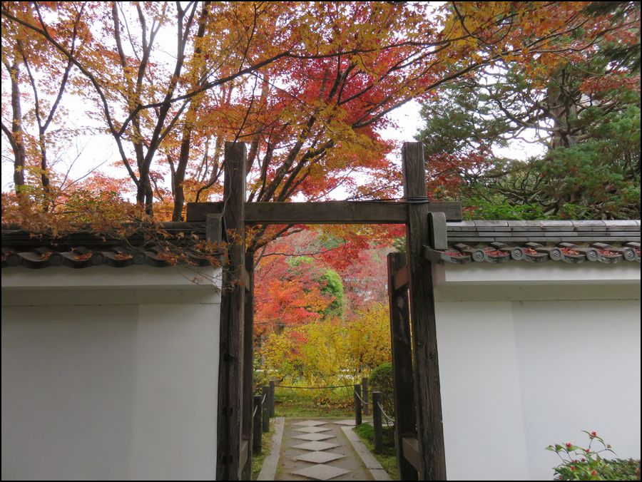 天授庵/2WAYの庭が見事です＠京都/左京区南禅寺町