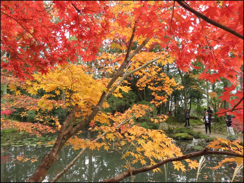 天授庵/2つの庭が見事です＠京都/左京区南禅寺町