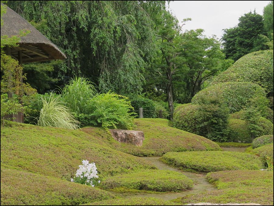 妙心寺 退蔵院/庭園美はオールシーズン＠京都市/右京区花園