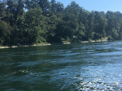 ライン川は写真の向かって右から左に流れています。