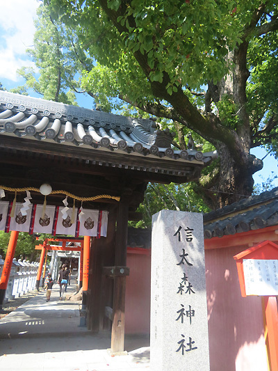 信太森神社1